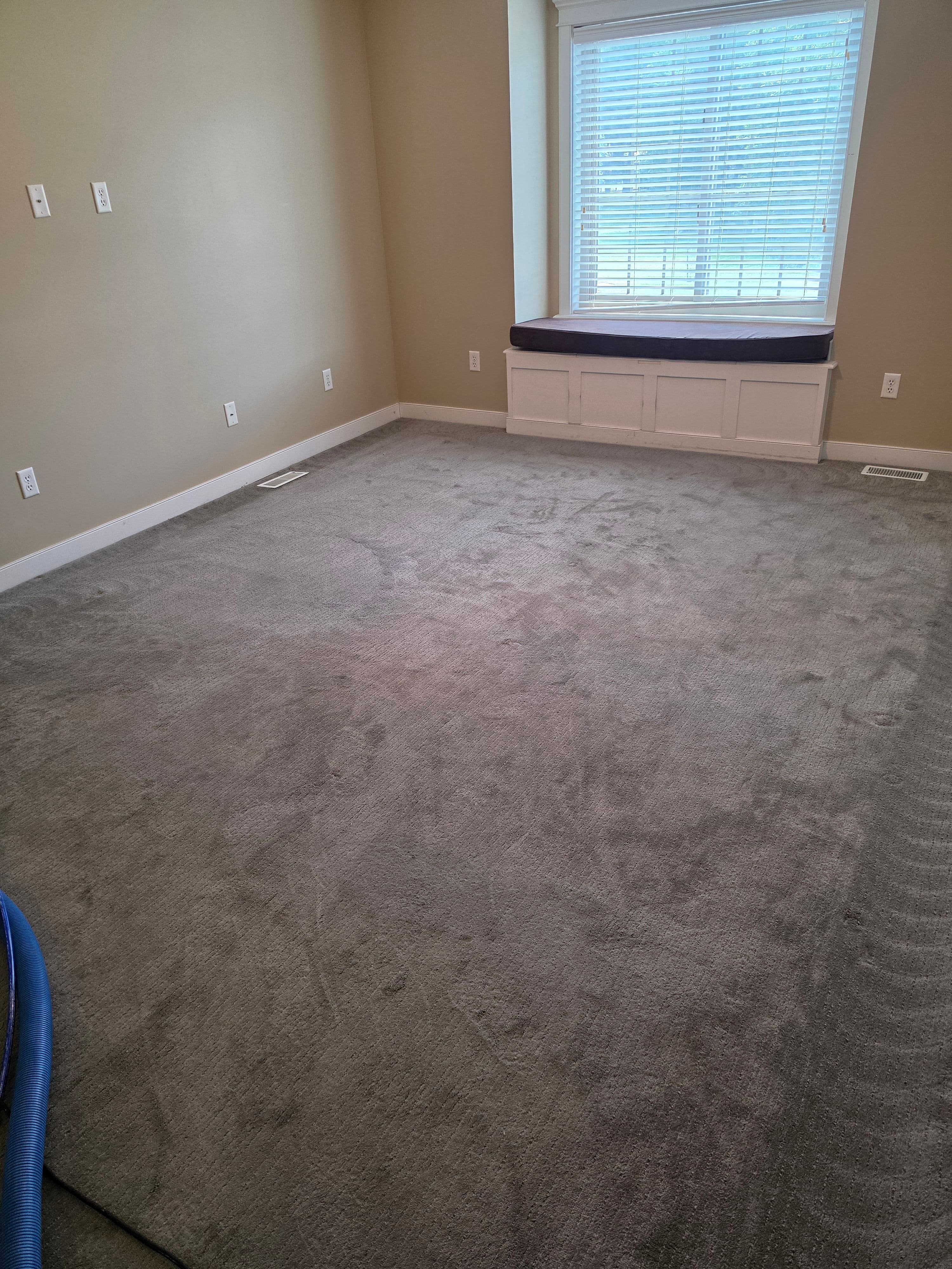 Project Why Rotary Extraction Gets Carpets Actually Clean image