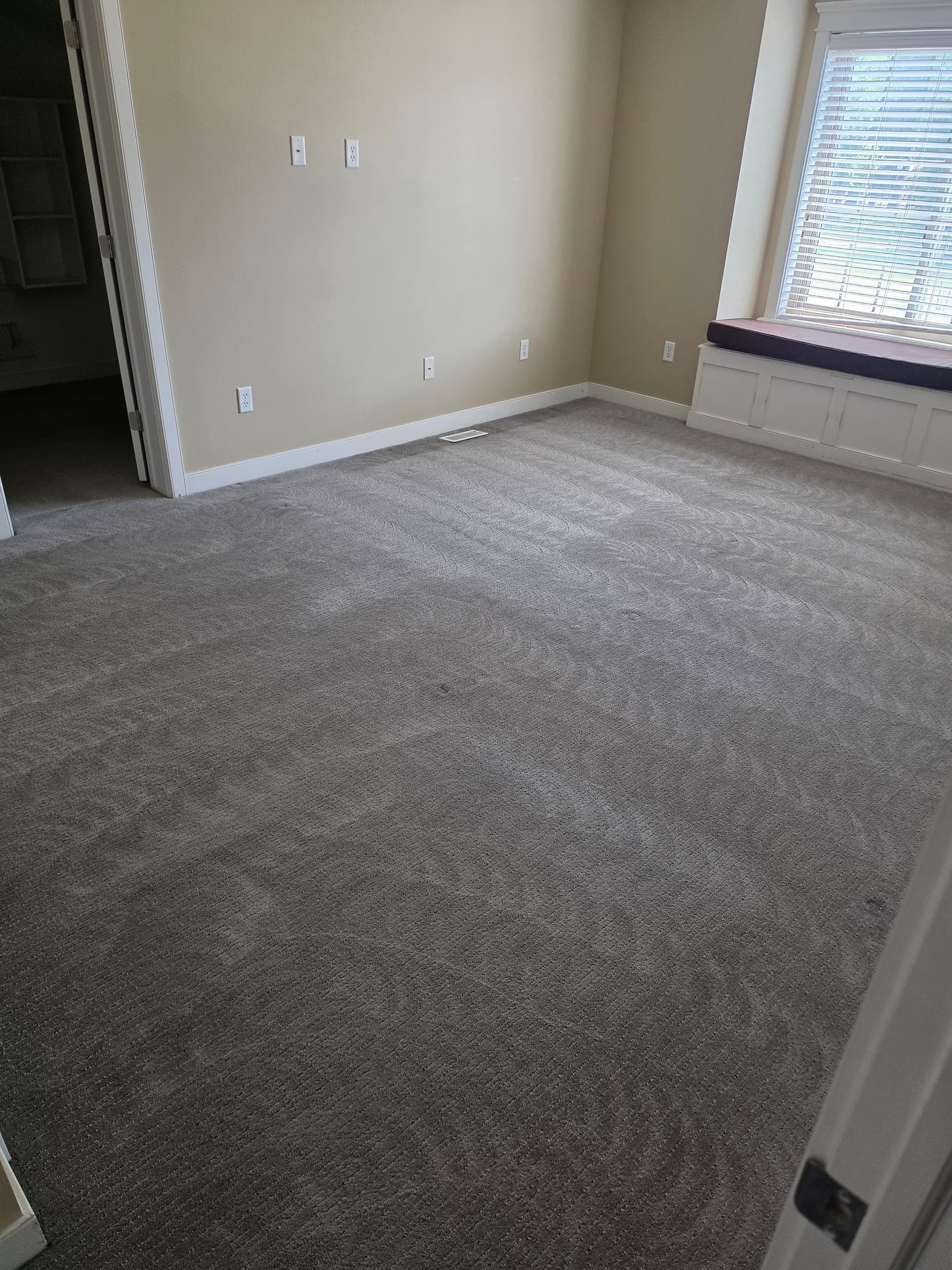 Gallery photos for Why Rotary Extraction Gets Carpets Actually Clean: Image #1