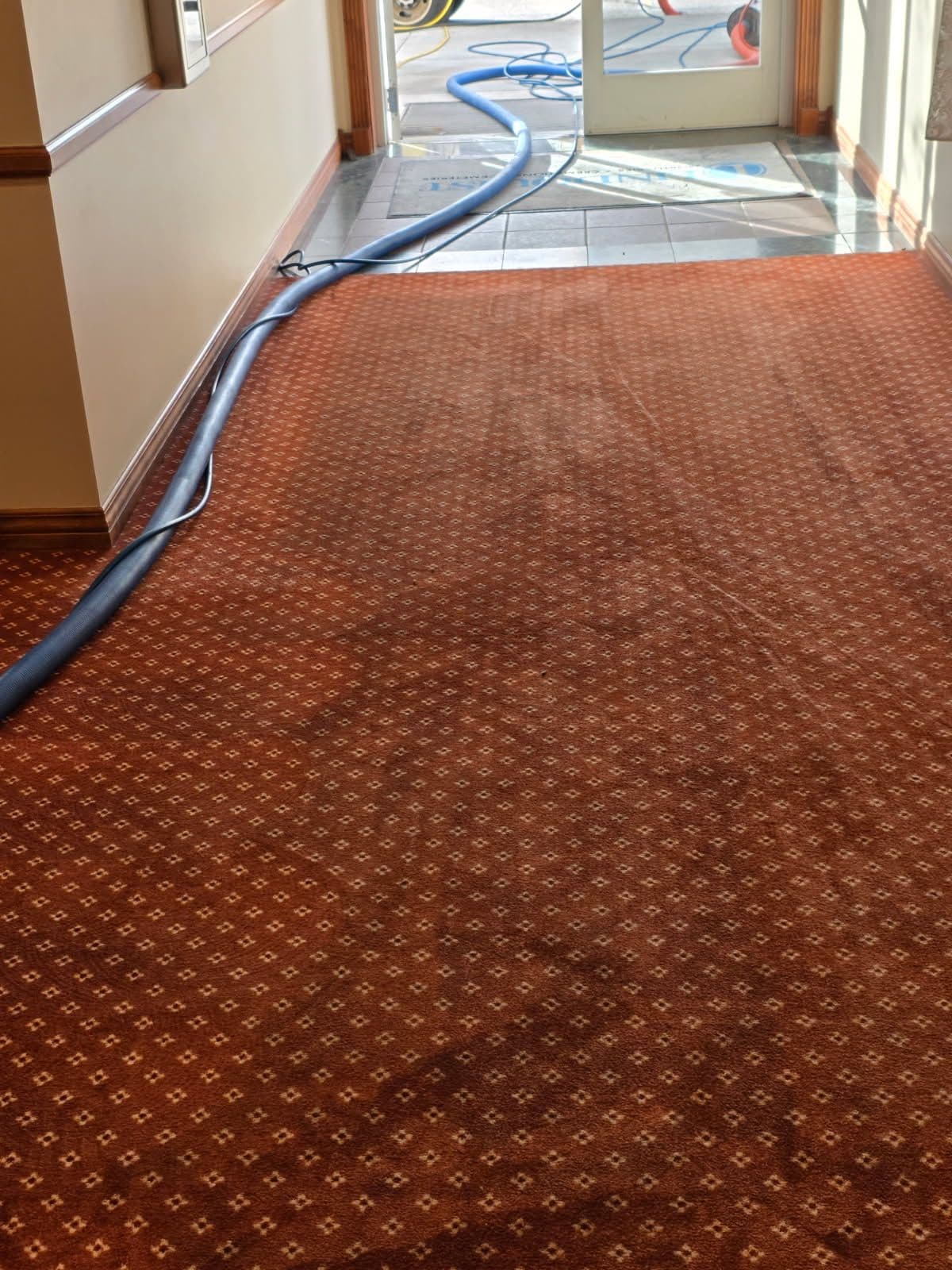 Project Commercial Carpet Cleaning for a Fresh Look image