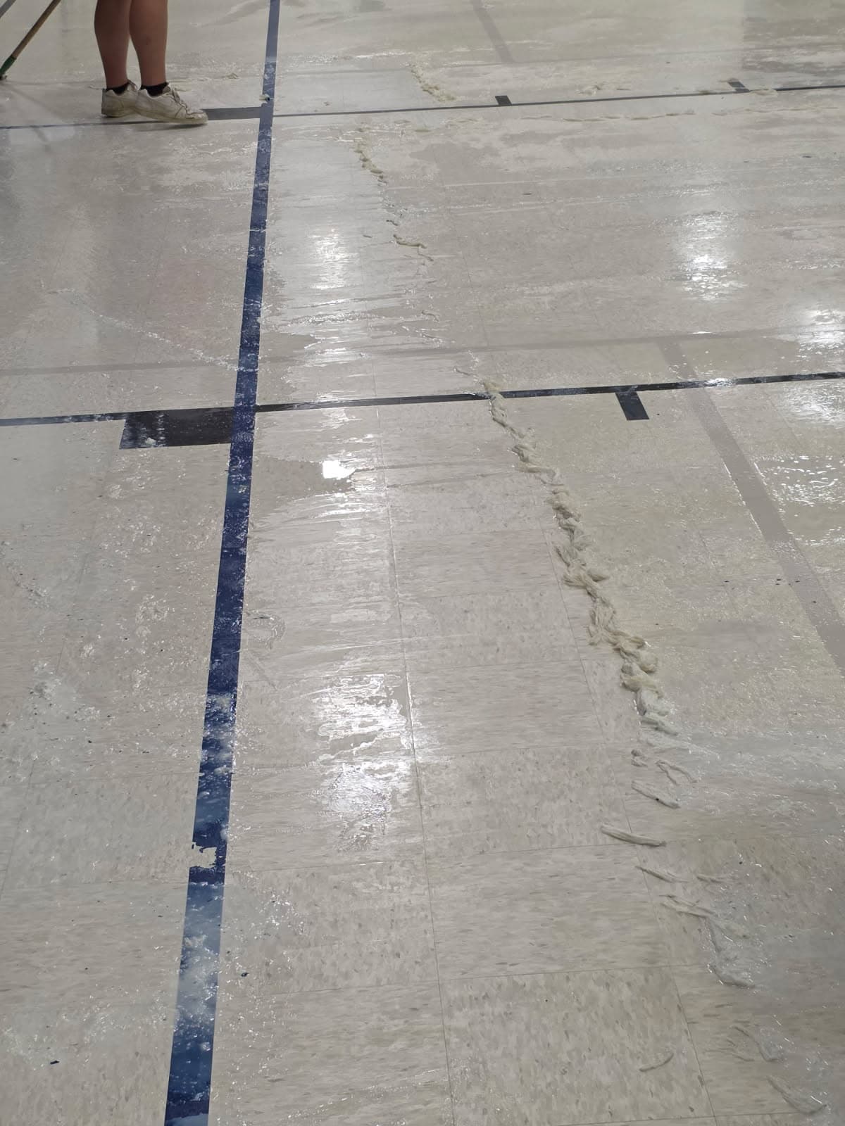 Project Revitalize Your Gym Floor with Expert Care image